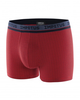 Boxer - Venice Boxer - Venice