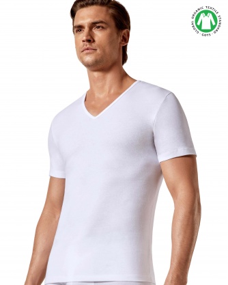 Cotton Organic T-shirt Cotton Organic T-shirt