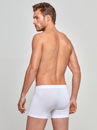 Boxer Cotton Modal Boxer Cotton Modal